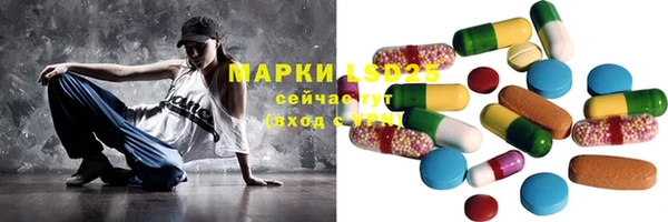гидра Вязники