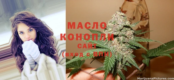 гидра Вязники
