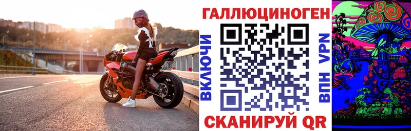 Псилоцибиновые грибы Psilocybe  Купить закладки  Пикалёво 