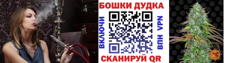 Купить  Пикалёво  МАРИХУАНА планчик 